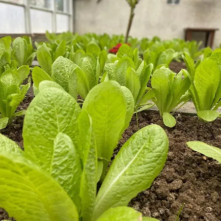 Crowne Plaza Oryapark By Ihg