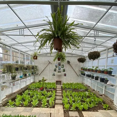 Crowne Plaza Oryapark By Ihg Istanbul