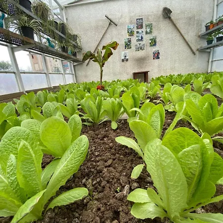 Crowne Plaza Oryapark By Ihg 5*