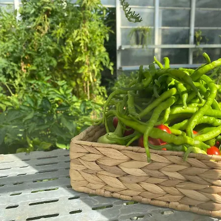 Crowne Plaza Oryapark By Ihg Hotel 5*