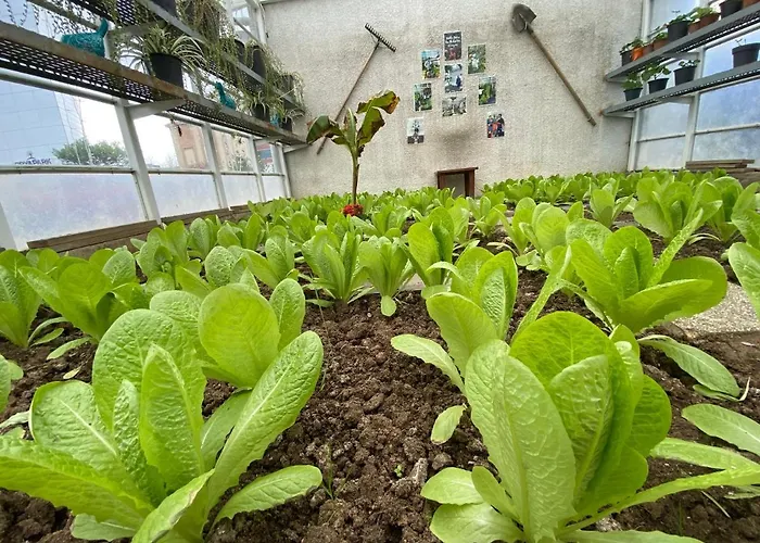 Crowne Plaza Oryapark By Ihg 5*