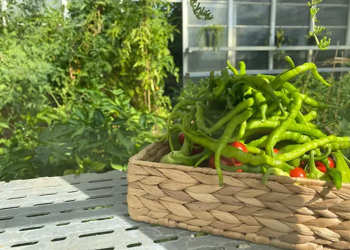 Crowne Plaza Oryapark By Ihg Отель 5*